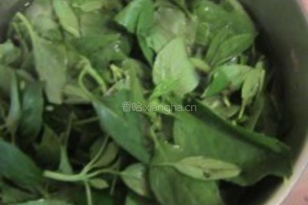 九层塔炒蟹肉的做法图解1