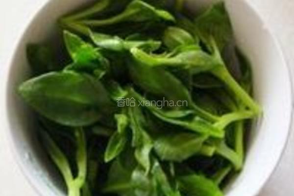 糖醋穿心莲的做法图解1