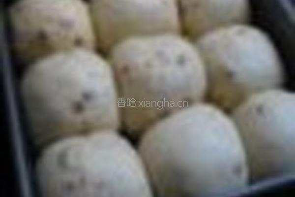 榛子小餐包的做法图解6