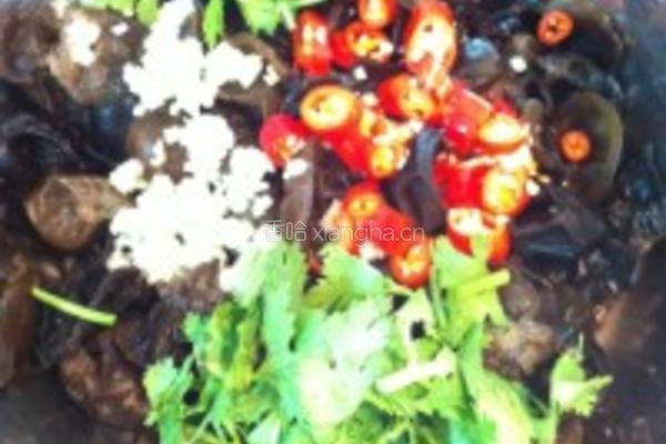 香菜凉拌黑木耳的做法图解6