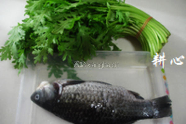 茼蒿鲫鱼汤的做法图解1