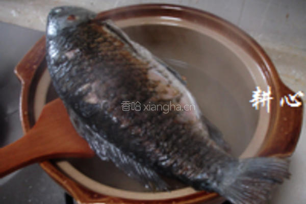 茼蒿鲫鱼汤的做法图解8