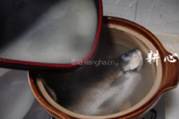 茼蒿鲫鱼汤的做法图解9