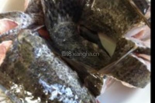 鲜菇鱼汤的做法图解3