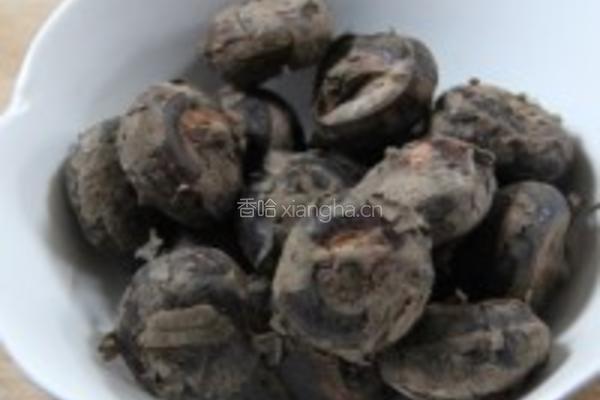 荸荠馅肉饼的做法图解1