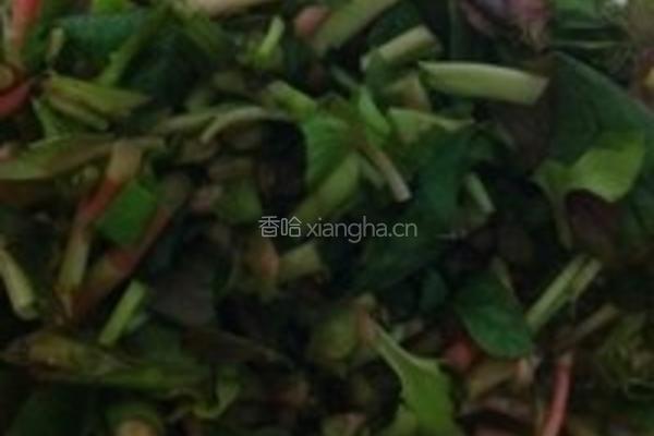 凉拌凉面的做法图解2