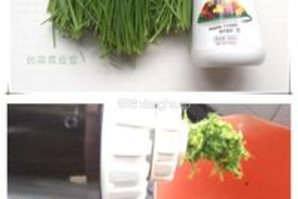 小麦草汁的做法图解1