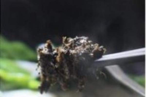 橄菜四季豆炒年糕的做法图解6
