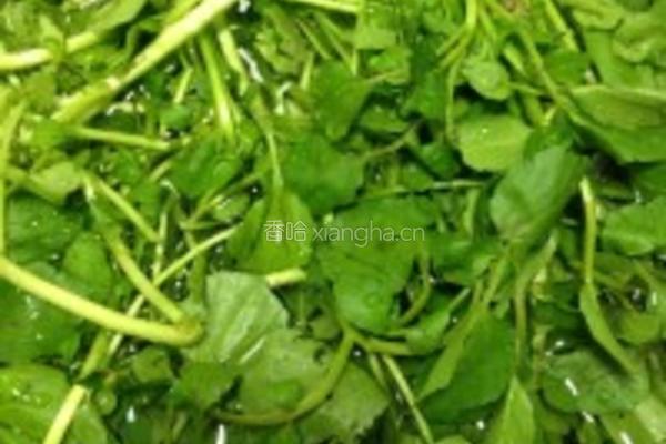 陈肾南北杏西洋菜瘦肉汤的做法图解4