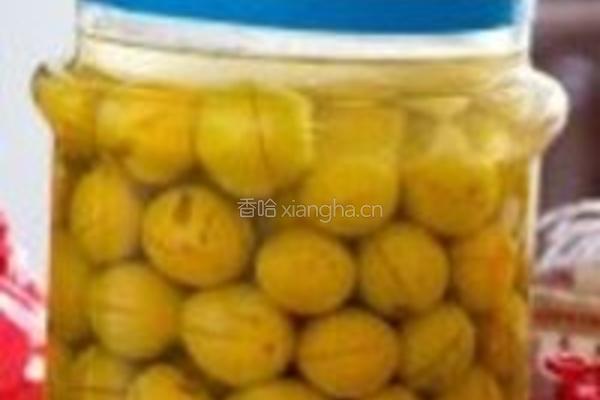 双色双味李子酒的做法图解7