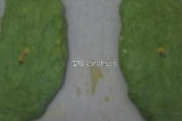 无油酵母的做法图解6