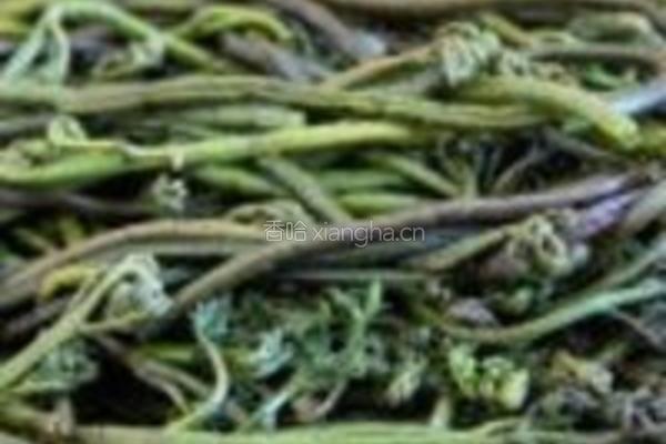 香炒蕨菜的做法图解1