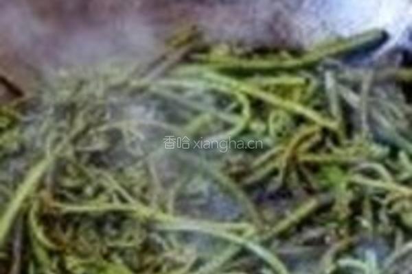 香炒蕨菜的做法图解3