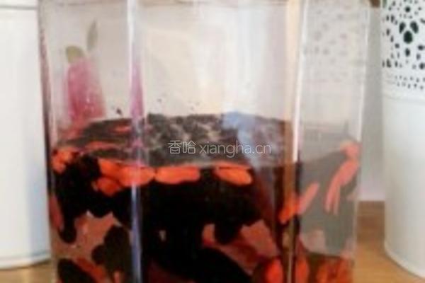 新鲜桑葚酒的做法图解4