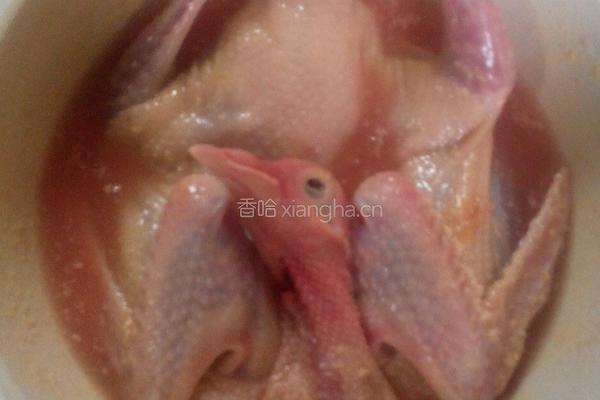 飘香乳鸽的做法图解1