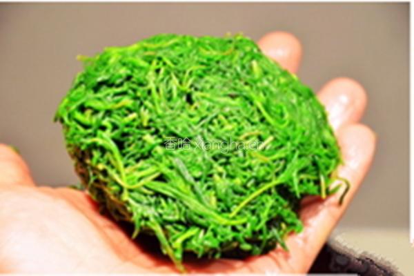 珍选捞汁海蓬菜的做法图解3