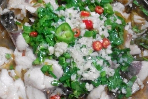 家庭水煮鱼的做法图解13