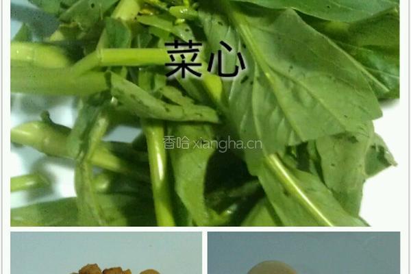 油渣炒菜心的做法图解1
