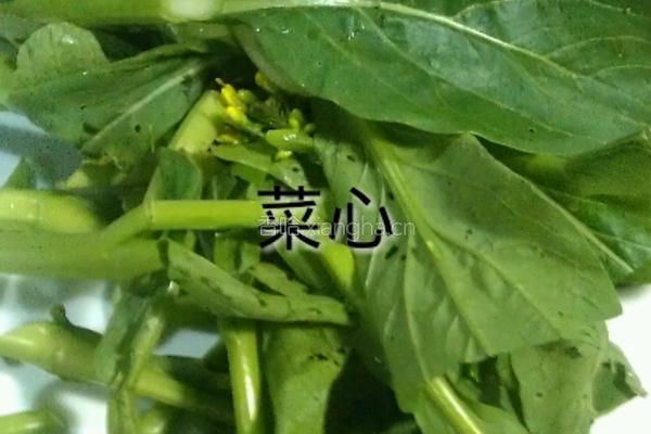 油渣炒菜心的做法图解2