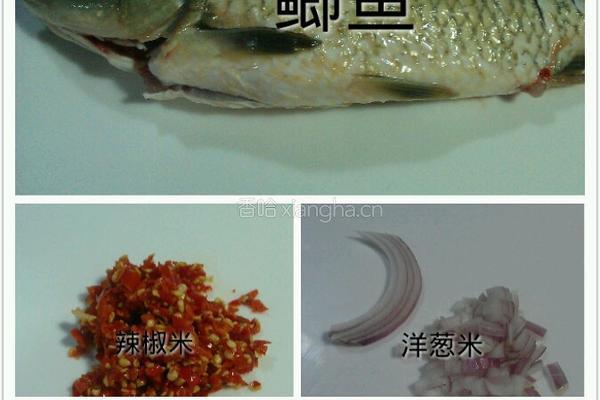 香烧鲫鱼的做法图解1