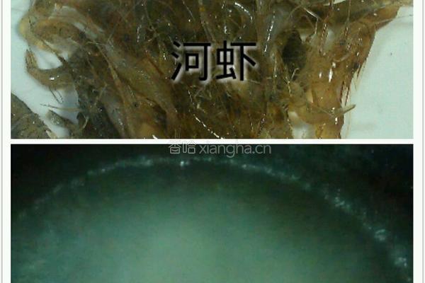 醋香小溪虾的做法图解2