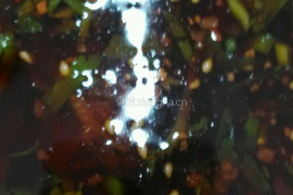 养生乌鸡汤的做法图解4