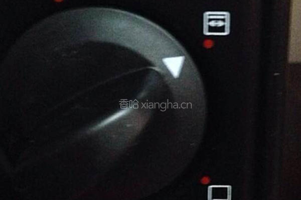 自制烤鸭子的做法图解4