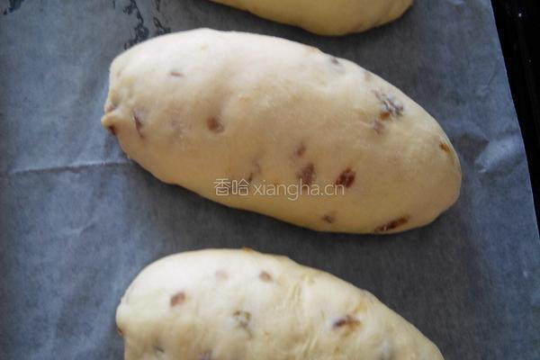 葡萄干蜜枣罗宋包的做法图解9