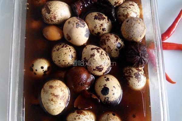 香卤鹌鹑蛋的做法图解6