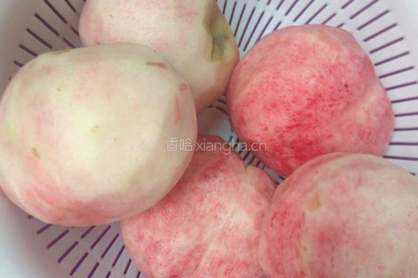 水蜜桃罐头的做法图解2