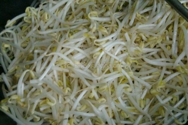绿豆芽炒肉的做法图解3