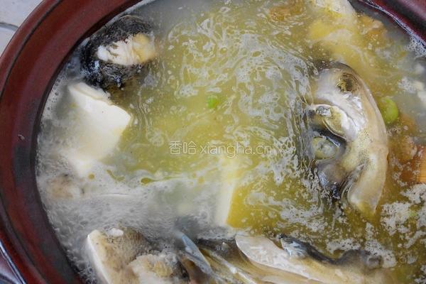 花鲢豆腐汤的做法图解4