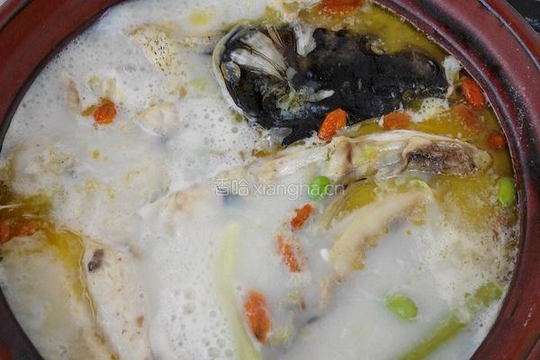 花鲢豆腐汤的做法图解5