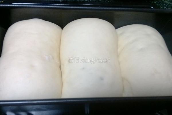 红豆蜂蜜土司的做法图解7