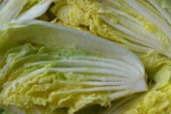 辣白菜的做法图解3