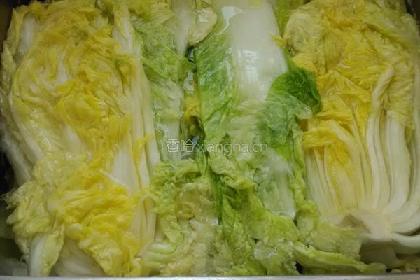 辣白菜的做法图解3