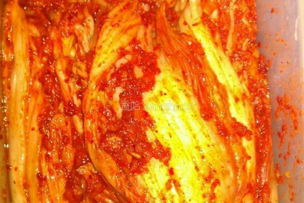 韩国泡菜的做法图解5