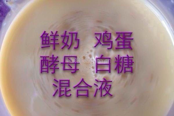 自制麻花的做法图解2