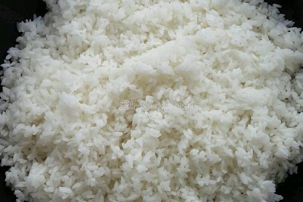 萝卜丝蒸米饭的做法图解4