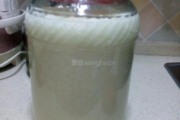 自制甜酒酿的做法图解4