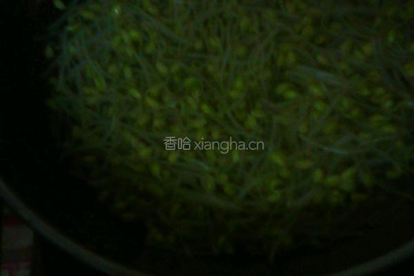 豆芽粉丝的做法图解1