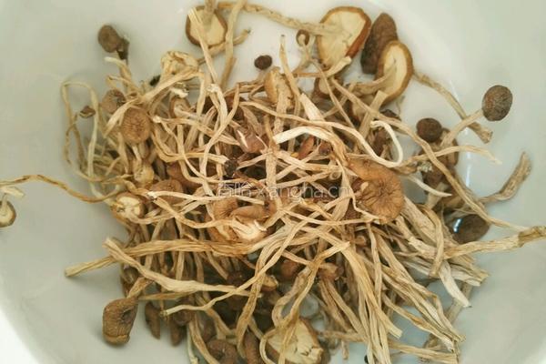 茶树菇炖大骨的做法图解1