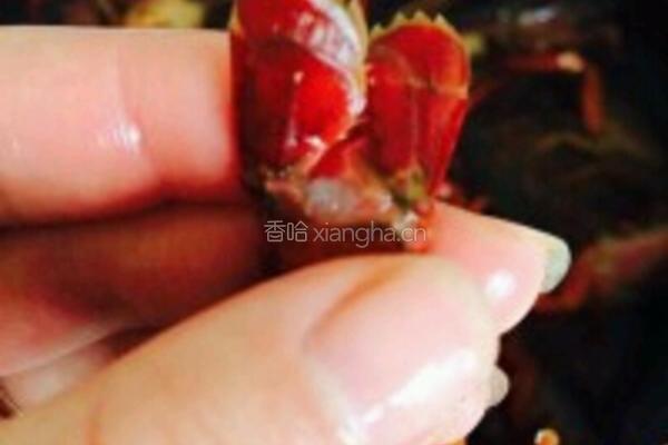啤酒醉大虾的做法图解2
