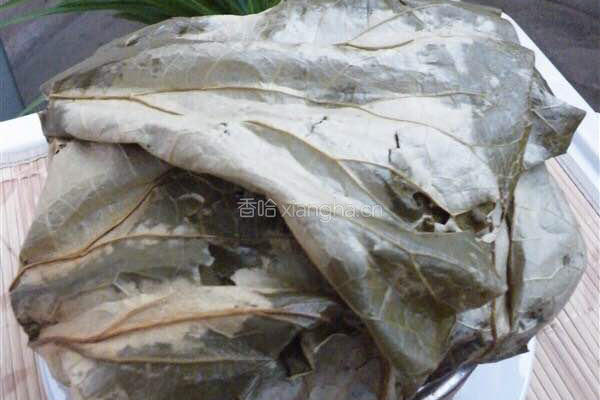 香荷糯米鸡的做法图解4