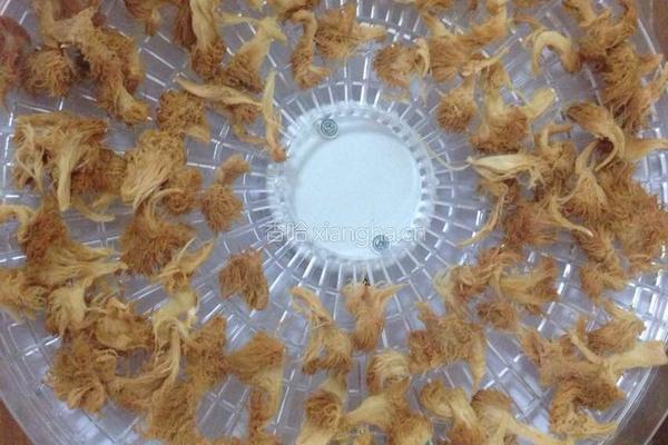 猴菇菌粉的做法图解1