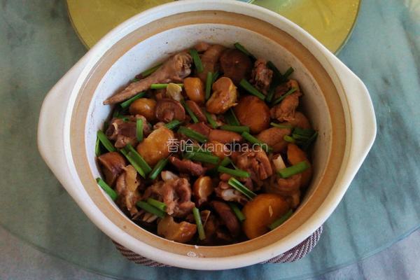 板栗焖鸡