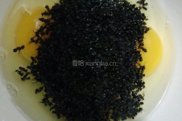 黑蚂蚁炒鸡蛋的做法图解2