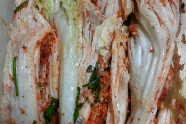 韩式辣白菜的做法图解8