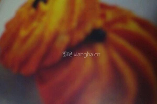 巧克力曲奇的做法图解3