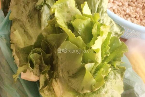 生菜包的做法图解3